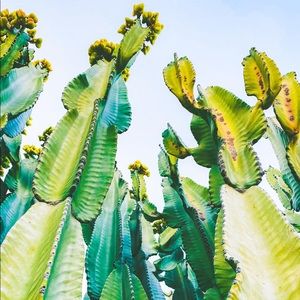 Meet your Posher, Kiley